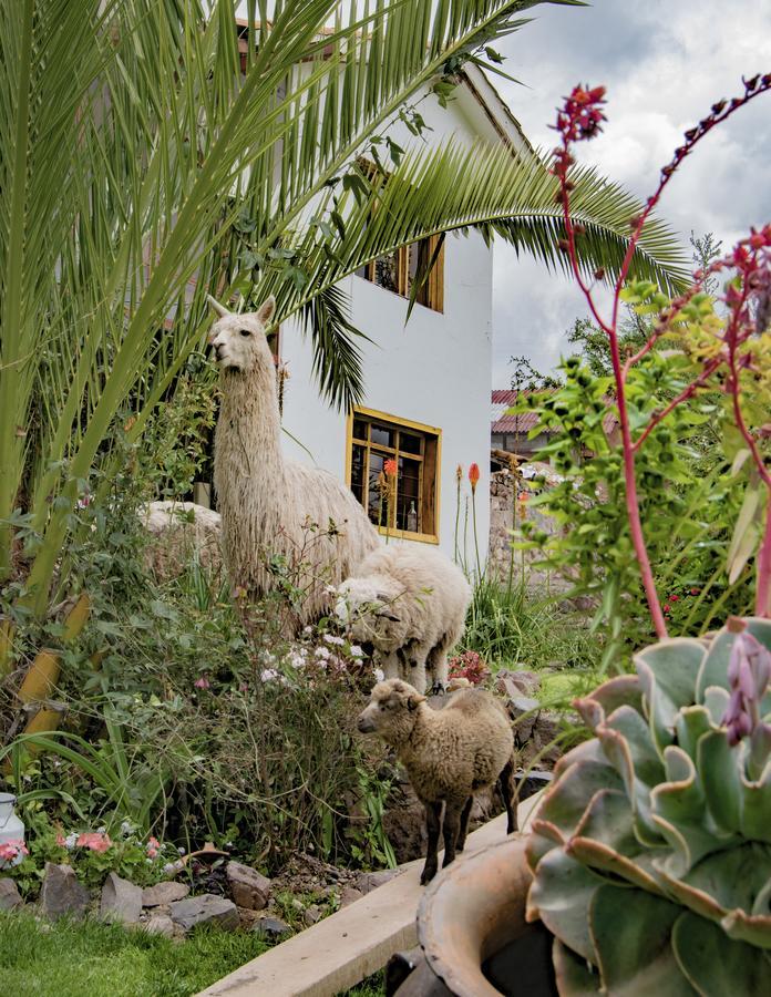 Inkita Boutique Guesthouse Cuzco Exteriér fotografie